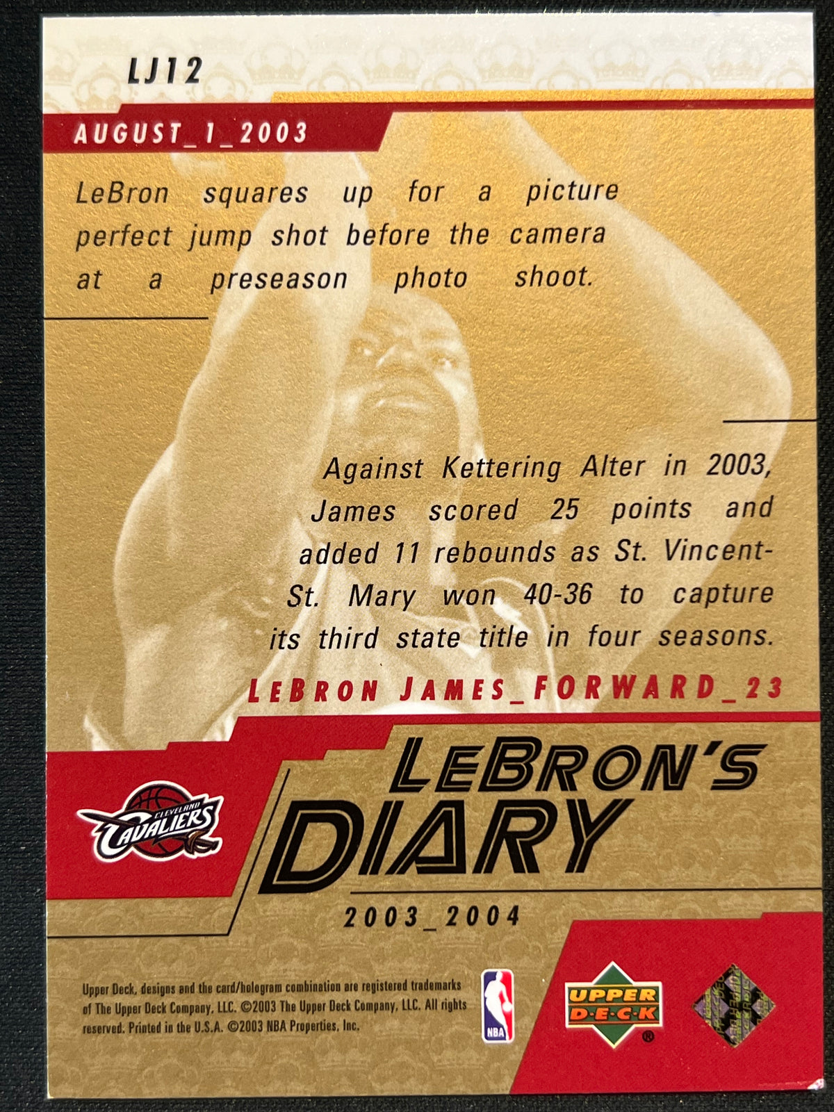 2003-04 Upper Deck - Lebron's Diary LeBron James #LJ12 (RC)