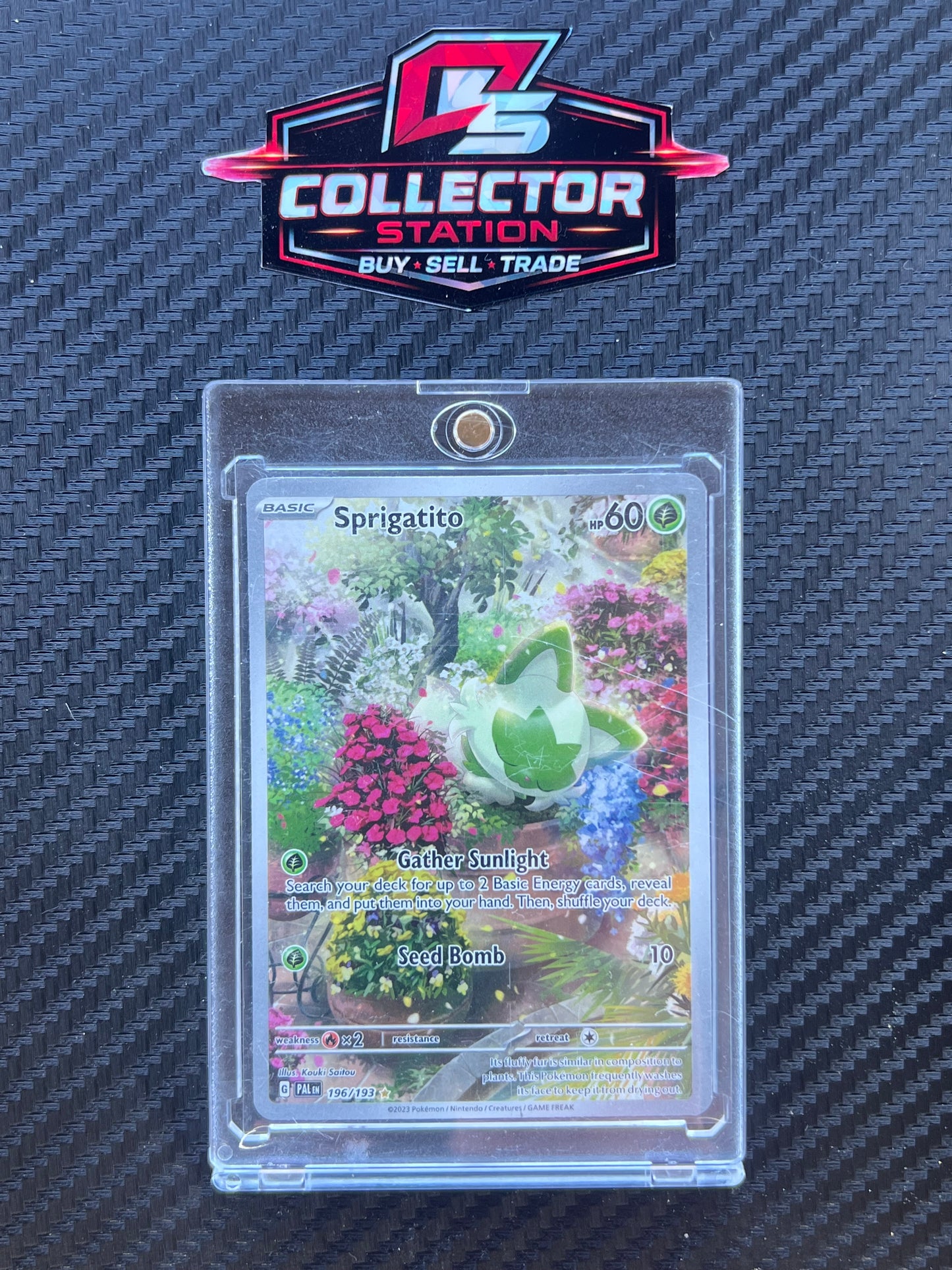 Sprigatito - 196/193 - SV02: Paldea Evolved (PAL)