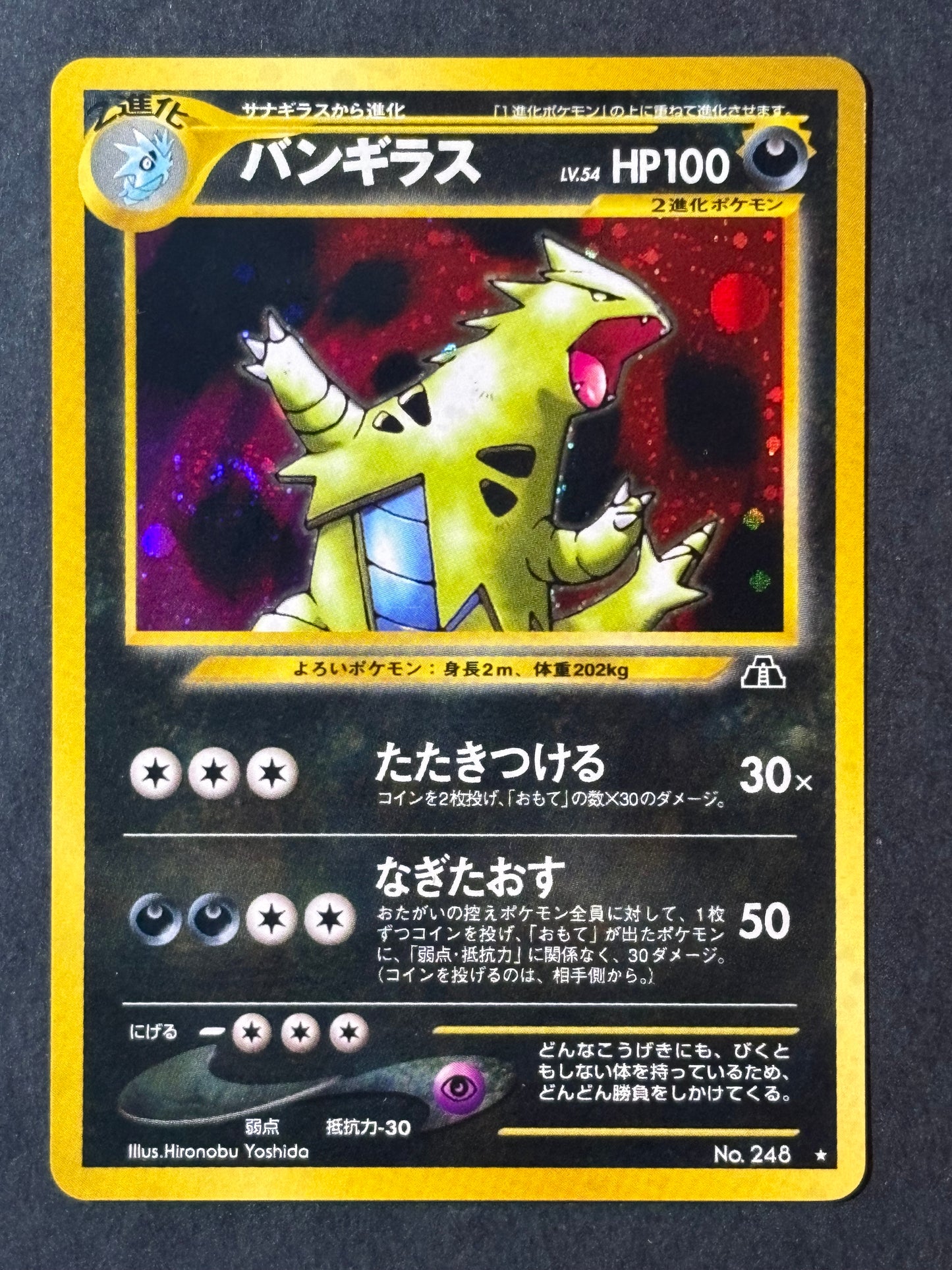 Tyranitar - Crossing the Ruins