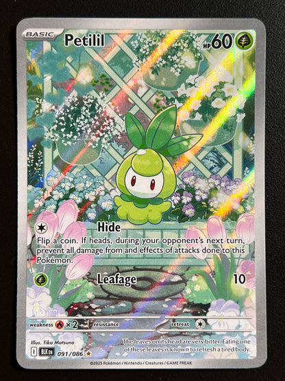 Petilil - 091/086 - SV: Black Bolt (BLK) NM Pokemon