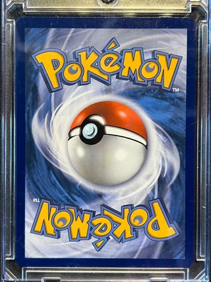 Chikorita - 046 - ME: Mega Evolution Promo (MEP)