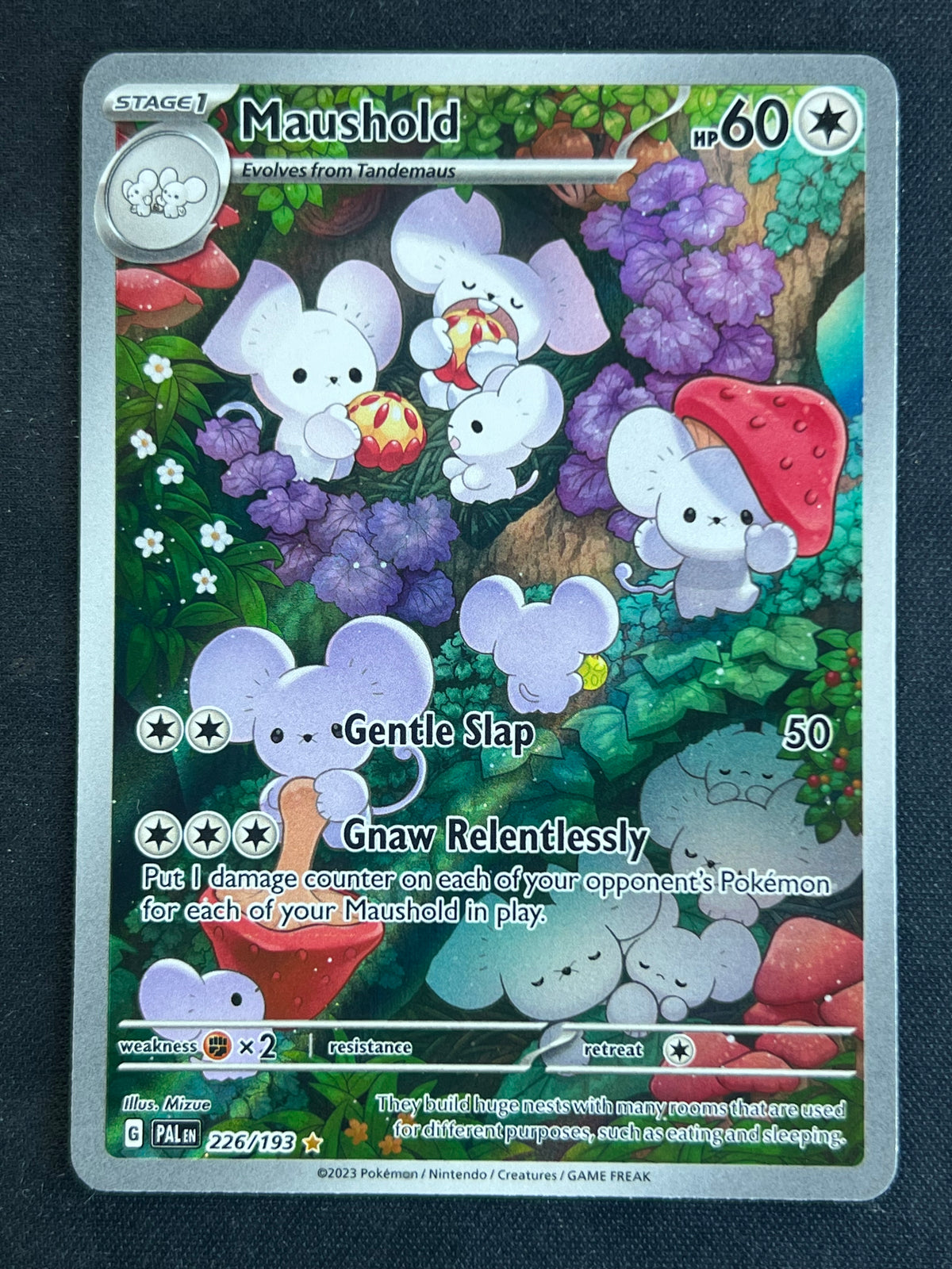 Maushold - 226/193 - SV02: Paldea Evolved (PAL) NM Pokemon