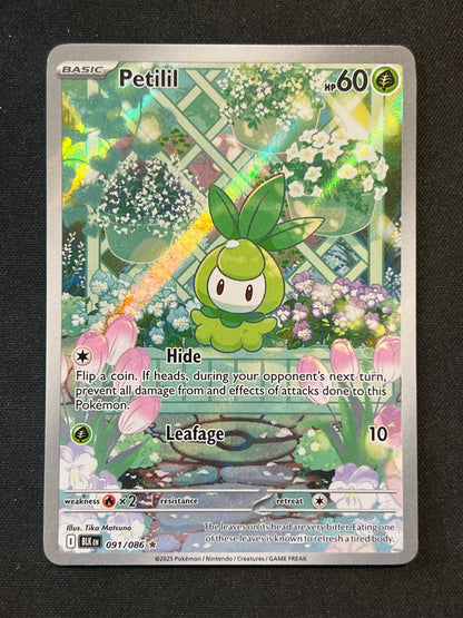 Petilil - 091/086 - SV: Black Bolt (BLK) Pokemon