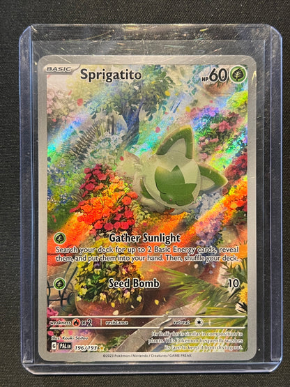 Sprigatito - 196/193 - SV02: Paldea Evolved (PAL) Pokemon