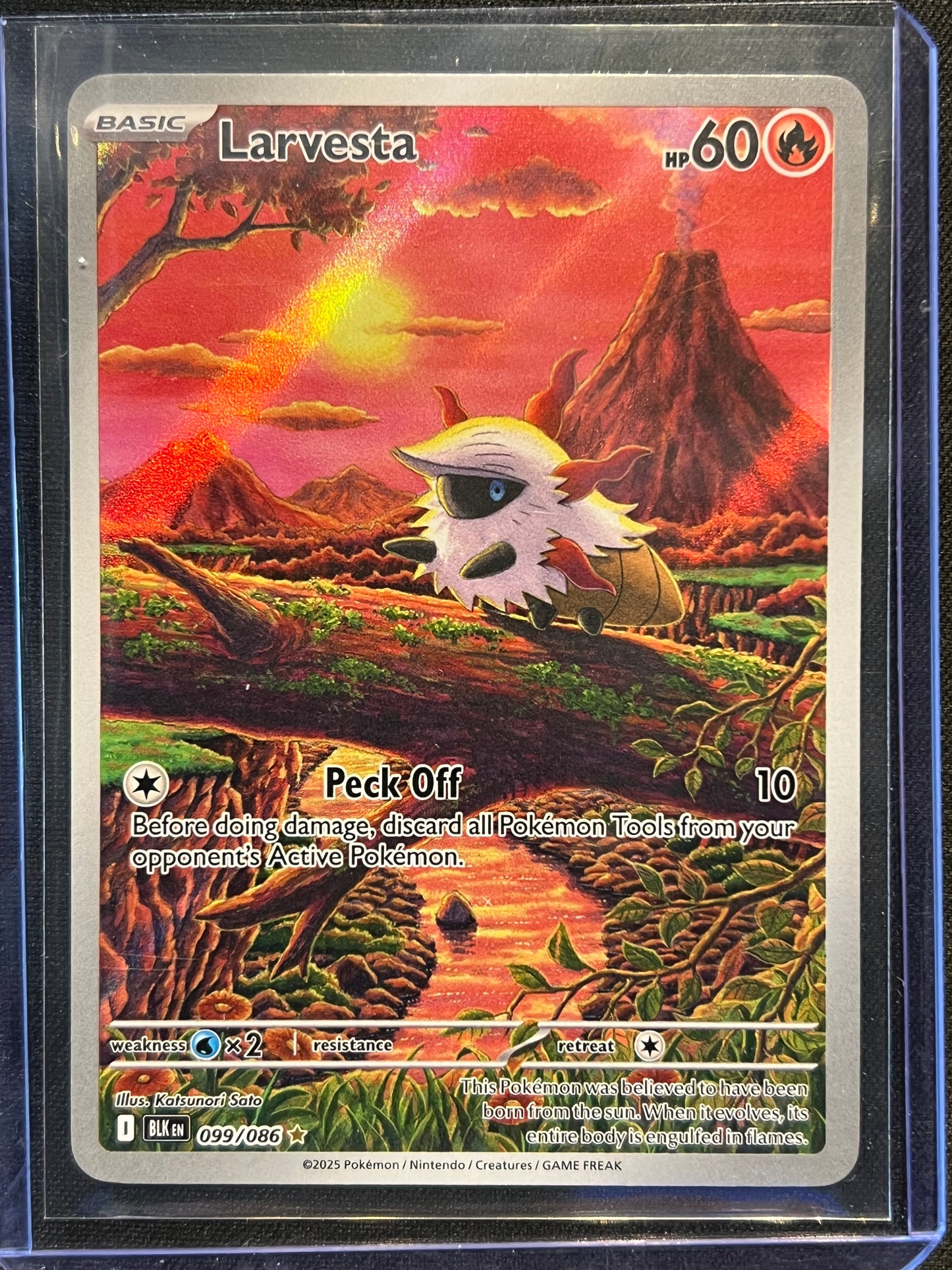 Larvesta - 099/086 - SV: Black Bolt (BLK)
