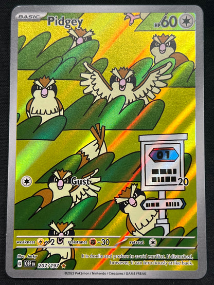 Pidgey - 207/197 - SV03: Obsidian Flames (OBF) Pokemon