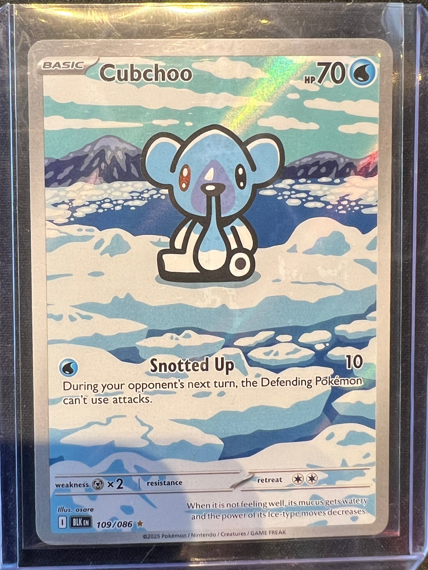 Cubchoo - 109/086 - SV: Black Bolt (BLK)