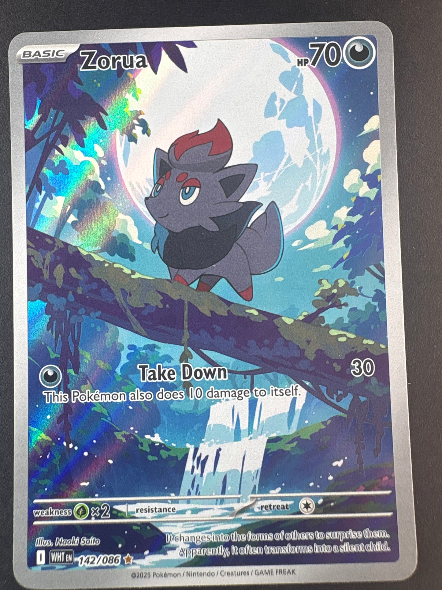 Zorua - 142/086 - SV: White Flare (WHT)