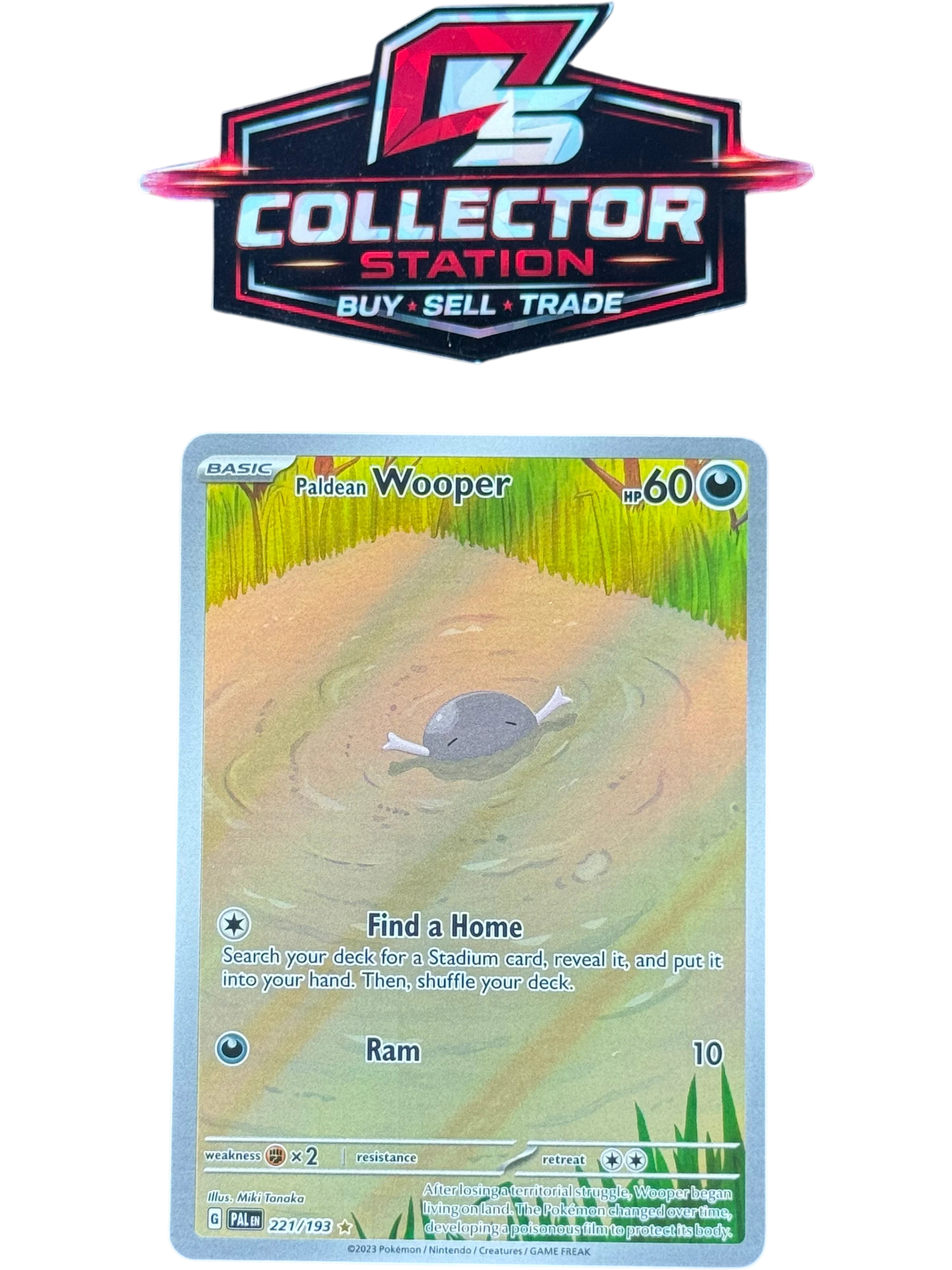 Paldean Wooper - 221/193 - SV02: Paldea Evolved (PAL) — normalized