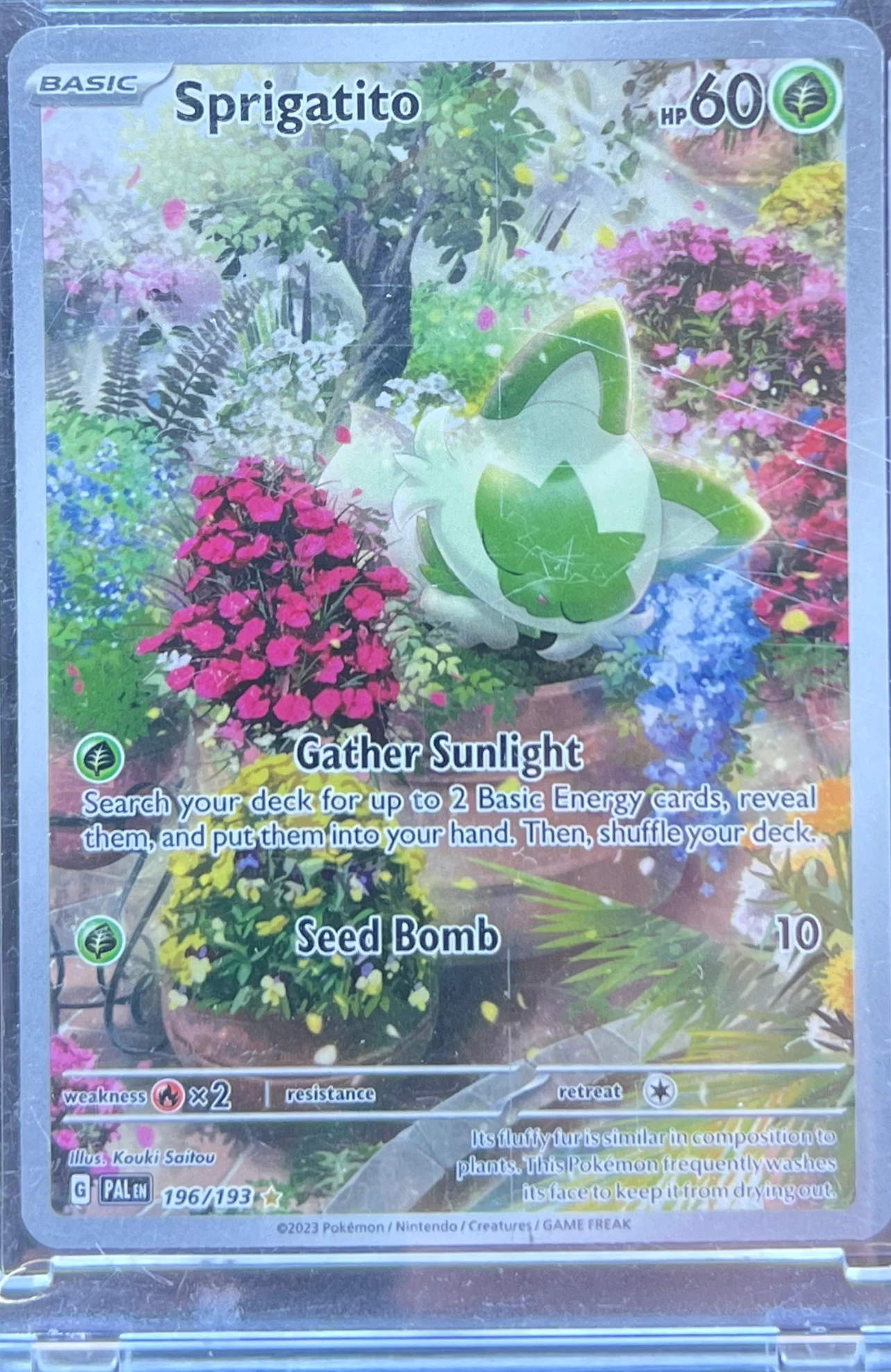 Sprigatito - 196/193 - SV02: Paldea Evolved (PAL) — normalized