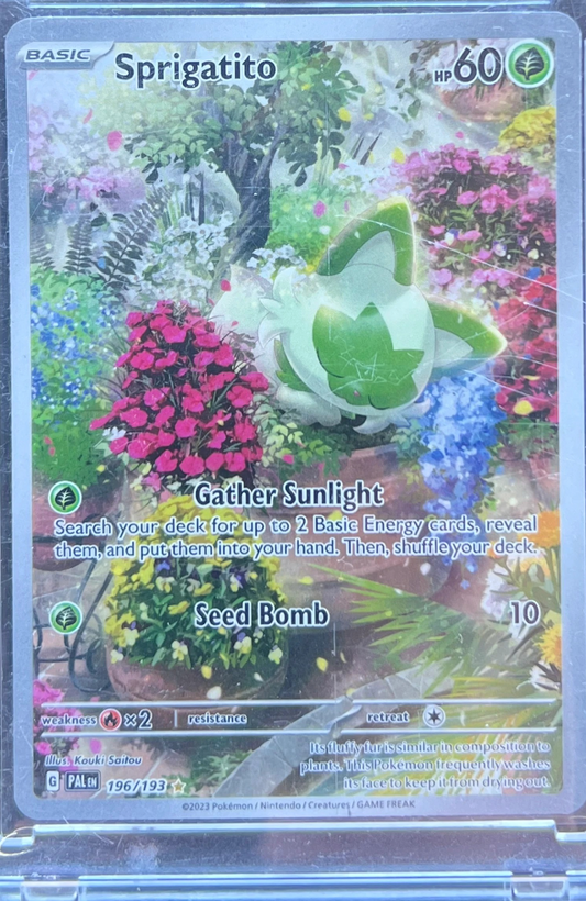 Sprigatito - 196/193 - SV02: Paldea Evolved (PAL) — normalized